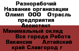 Разнорабочий › Название организации ­ Олимп, ООО › Отрасль предприятия ­ Ассистент › Минимальный оклад ­ 25 000 - Все города Работа » Вакансии   . Алтайский край,Славгород г.